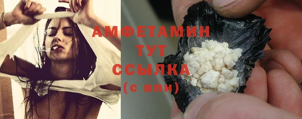 индика Зеленокумск