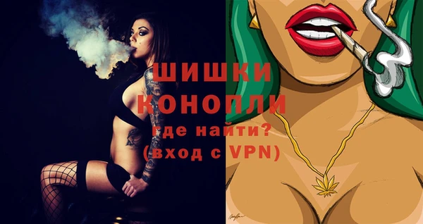 индика Зеленокумск