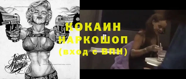 индика Зеленокумск