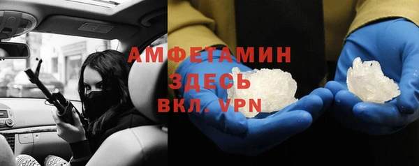 индика Зеленокумск