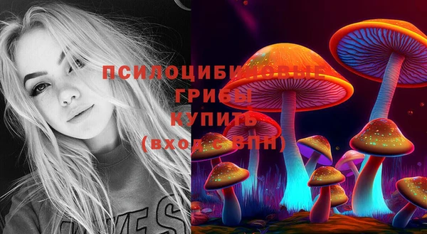 индика Зеленокумск