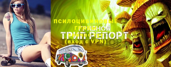 индика Зеленокумск