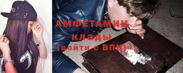 индика Зеленокумск