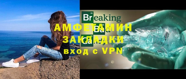индика Зеленокумск