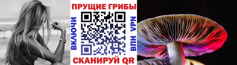 Псилоцибиновые грибы Magic Shrooms  дарк нет Telegram  Калачинск  сколько стоит 